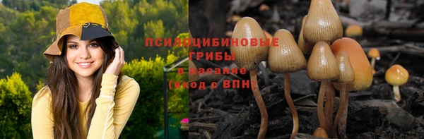 твердый Абинск