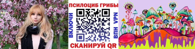 Галлюциногенные грибы MAGIC MUSHROOMS где продают Шахты