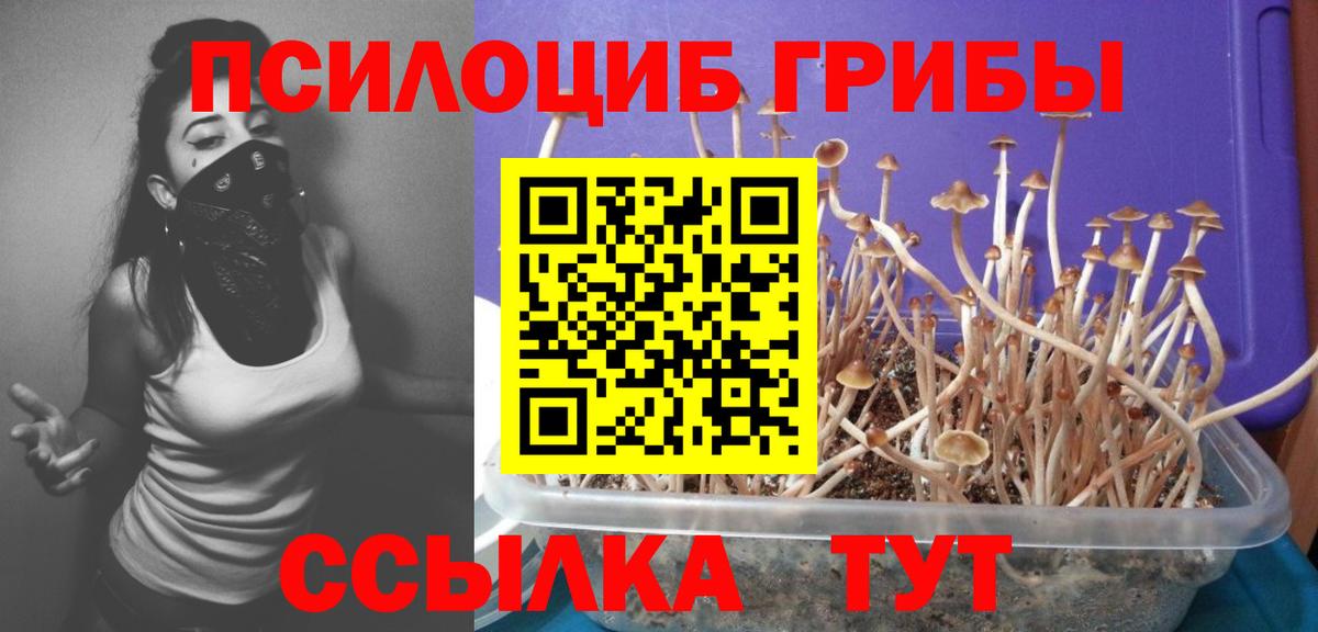 Галлюциногенные грибы мицелий Шахты